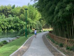 -杭州植物园