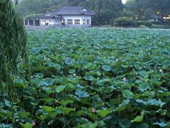 -范蠡湖公园