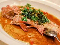 -伯衡55·吉品轩(乌鲁木齐南路店)