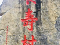 -长寿村