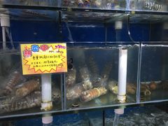 -蚝专家(北滘店)