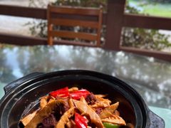 -兴隆槟榔园休闲农庄