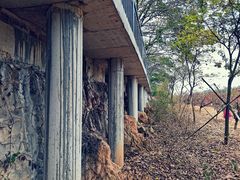 -南国桃园旅游度假区