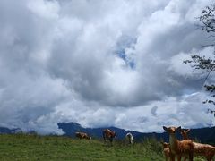 -硗碛藏寨·神木垒景区