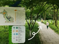 -西湖风景区-江洋畈生态公园