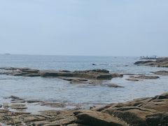-老太太海鲜城(森林公园任家台店)