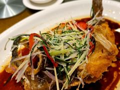 -金河半岛园林酒家(金融城店)