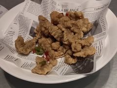 -老平安农家菜(平安店)
