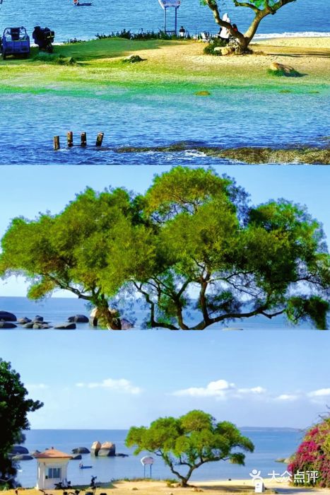 鼓浪屿图片