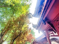 -望江楼公园