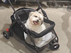 -香雪海饭店中餐厅(湖滨店)