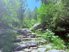 -阳台山自然风景区