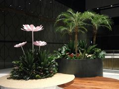 -奈雪的茶(skp店)