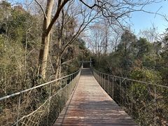 -敬亭山风景名胜区