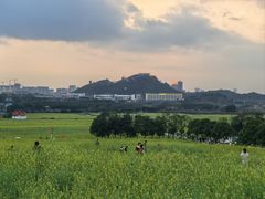 -光明小镇欢乐田园