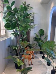 -悦润荟美容抗衰中心