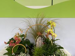 -杭州植物园