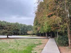 -同里国家湿地公园