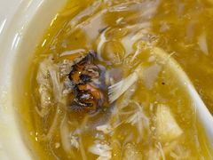 -王宝和酒家(黄浦店)