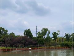 -九科绿洲