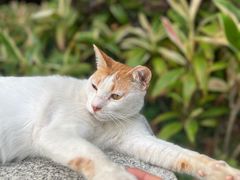 -广州珠江公园