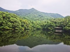 -杭州半山国家森林公园