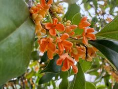 -苏州河梦清园环保主题公园