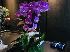 -欣悦府(城建大厦C座店)