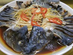 稀鳞硅鱼-煲来饱去冷水鱼