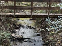 -同里国家湿地公园