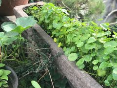 -葛子涧农家宴