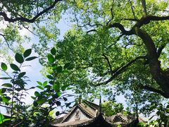 -豫园