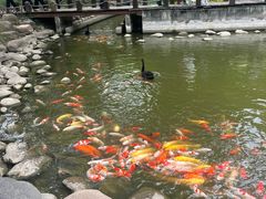 -万佛湖风景区