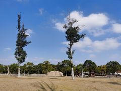-漕湖湿地公园