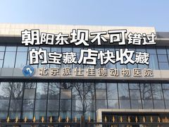-北京派仕佳德动物医院·超导核磁·CT·神经科·骨科·内外科·急重症管理中心