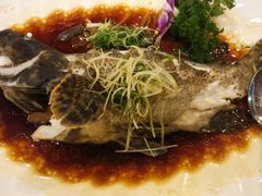 -长江国际酒店-中餐厅