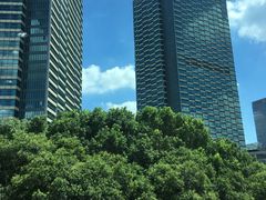 -上海浦东嘉里大酒店