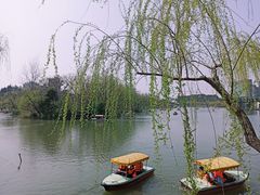 -大宁郁金香公园-停车场