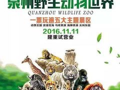 -泉州海丝野生动物世界