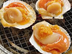XXXL美极鲜扇贝-霸腹烤肉(厦门柚子番店)