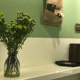 秋天来杯半盒草莓