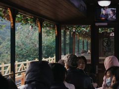 -深圳东部华侨城茵特拉根酒店