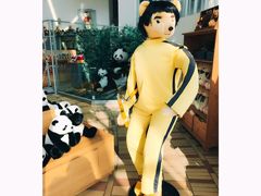 -济州岛泰迪熊博物馆