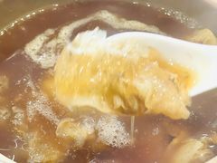 -大中鱼翅 Taitong Shark Fin
