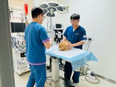 -康爱犬猫诊所·牙专科·骨外科·影像内科(丰宁店)