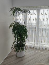 -HEYAN荷妍专业脱毛连锁机构