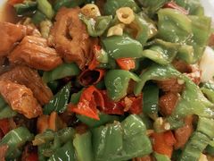 尖椒肥肠-瑜瑜饭馆