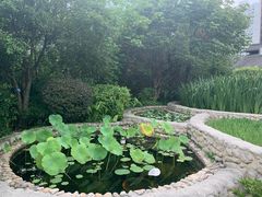 -活水公园