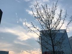 -水果地带(中航国际店)