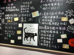 -喵屿·大理花园猫咖